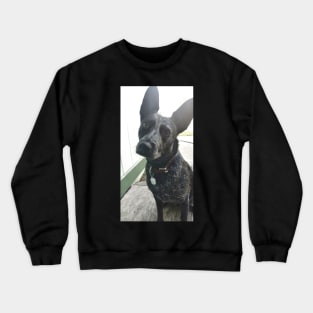 Lucy Girl Crewneck Sweatshirt